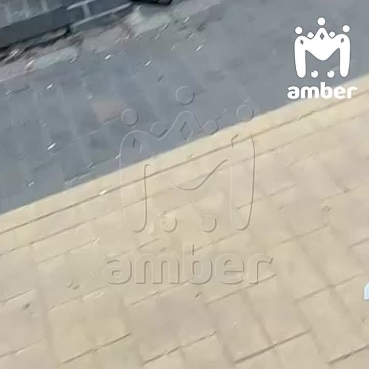 Декоративных голубей бросили на морозе на Рыбной деревне, сообщили очевидцы