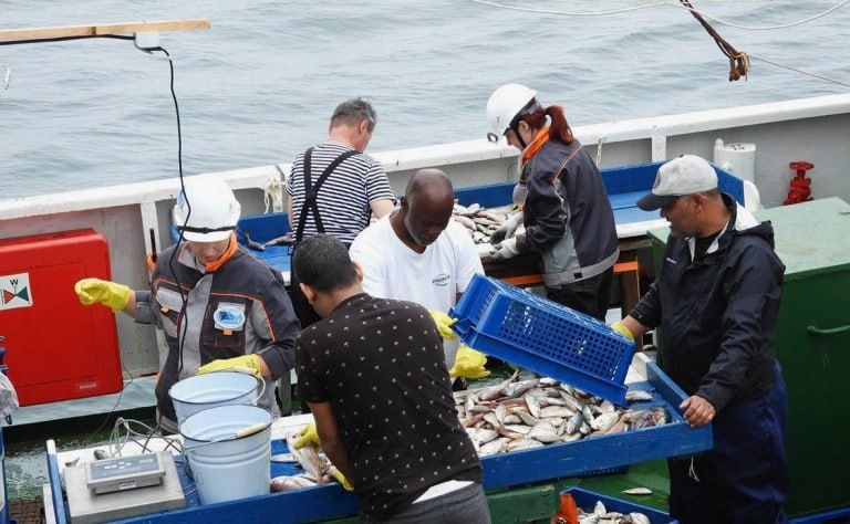 Россия активизирует сотрудничество с африканскими странами в сфере рыболовства, конкурируя с Евросоюзом и Китаем за влияние в регионе и доступ к ресурсам, сообщает Bloomberg