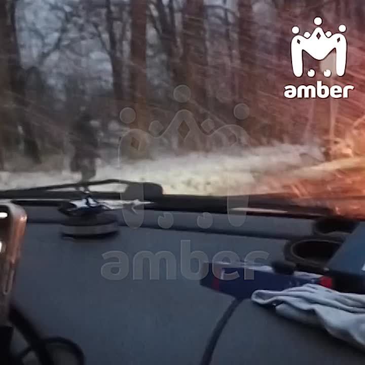 Водитель "БМВ" погиб, столкнувшись с "Тойотой" возле Дубков. 