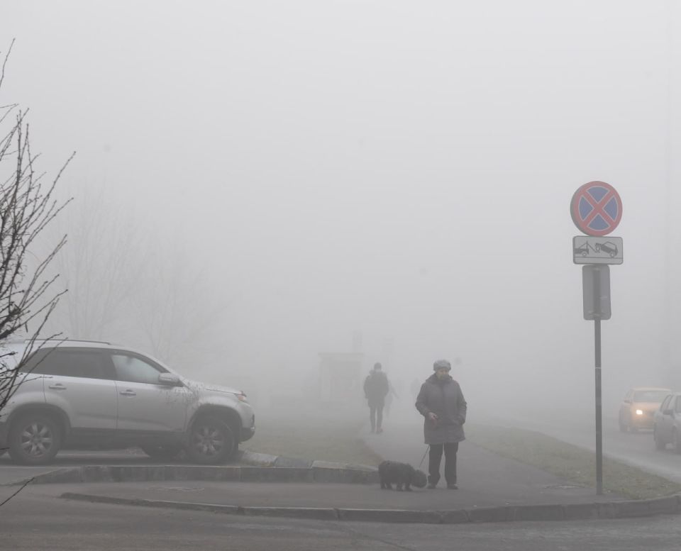 МЧС предупреждает о тумане в Калининградской области в воскресенье