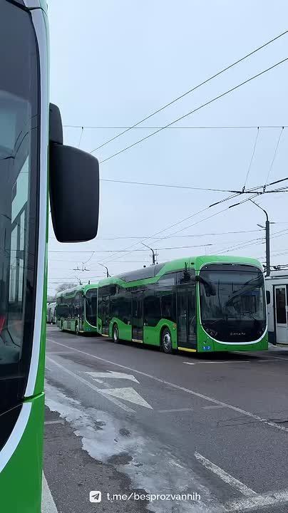 В Калининград пришла последняя партия троллейбусов