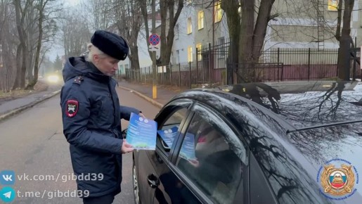 В Калининграде в рамках специального профилактического мероприятия «Перекресток» проведена акция «Зима без опасности»