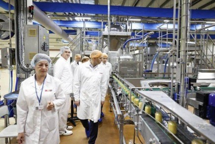 В Калининградской области хотят создать производство мяса индейки для нужд завода HiPP