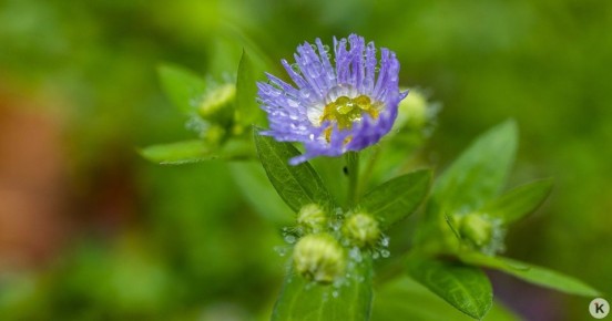 Погода в Калининграде и области в воскресенье
