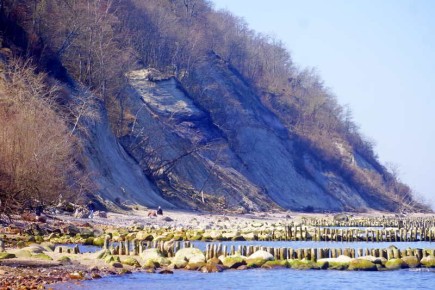 Устроители пляжа в Калининградской области даже штрафа не оплатили