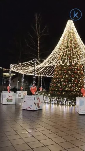 В Калининграде все ждут, когда же закончат собирать новую ёлку