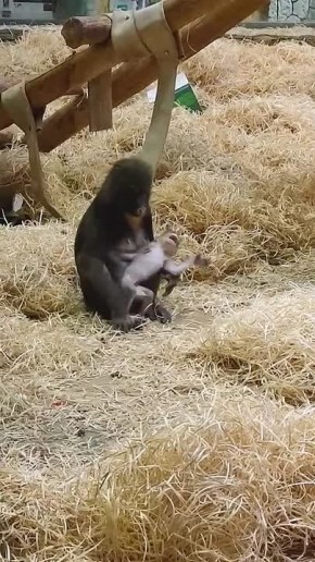 Мы не придумали, как назвать это видео