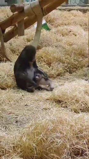 Когда утром не хочешь оставлять кровать и уговариваешь себя вставать