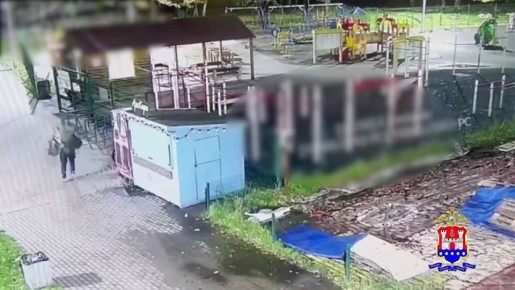 Протеинового потрошителя поймали за взлом у парка Макса Ашманна