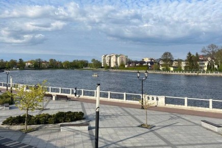 На обработку Калининграда от крыс и мышей в 2026 году выделили 2,8 млн рублей