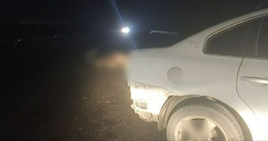 В Багратионовском районе легковушка насмерть сбила лося и врезалась в дорожное ограждение (фото)