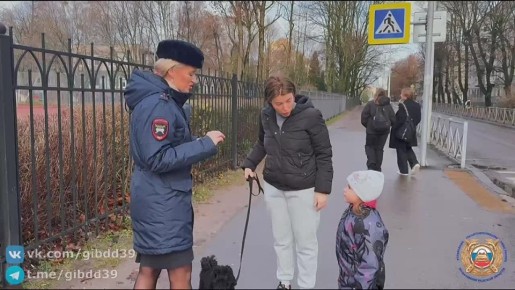 В Калининграде сотрудники Центра ДиТН ПБДД ГИБДД провели профилактическое мероприятие «Засветись»