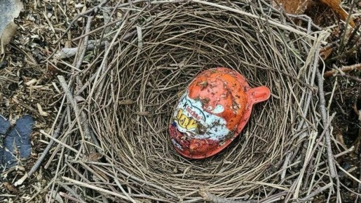 Дело раскрыто: в парке Теодора Кроне выяснили, что за послания оставляла ворона