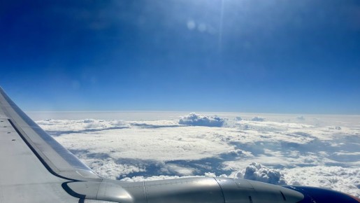 В Росавиации сообщили, что субсидированные билеты будут продавать только калининградцам с пропиской и студентам