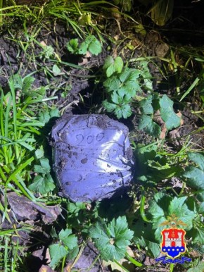 В Калининграде полицейскими задержан злоумышленник, оборудовавший свыше 85 закладок с психотропными веществами