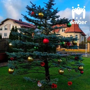 Зима ВООБЩЕ не близко.. Мы побили рекорд по максимальной температуре в декабре — 11,3 градуса тепла зафиксировала метеостанция Железнодорожного