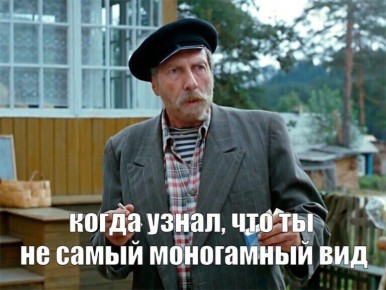 Люди оказались на седьмом месте в рейтинге самых моногамных животных