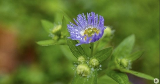 Погода в Калининграде и области в четверг