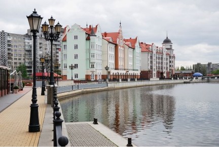 В Калининградской области становится меньше газовых легковушек и больше электрокаров